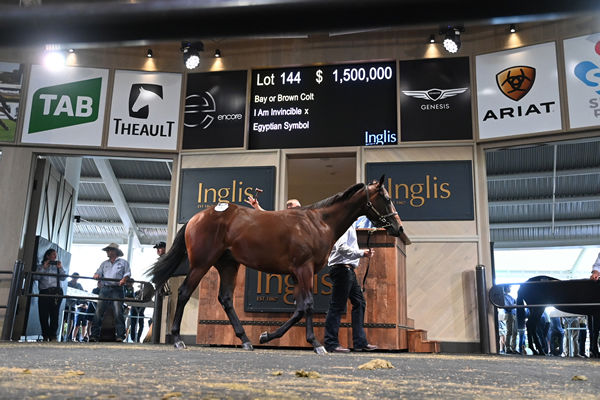 $1.5million I Am Invincible colt from Egyptian Symbol.