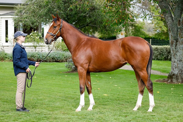 Lot 18 - Preferment filly out of G2 winner Casabella Lane.