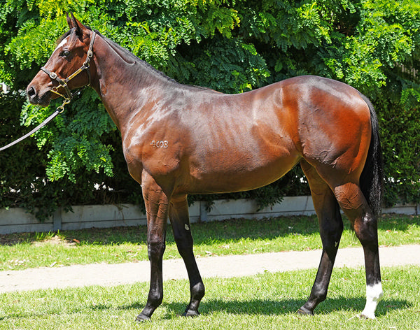 Snow Mercy Could've Been Yours For $150,000 - But Unfortunately, She Was Passed In