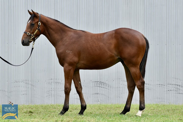 Lot 510 - click to watch parade.