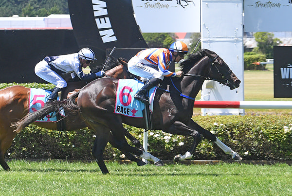 Marokopa Falls winning at Trentham on Saturday.  Photo: Peter Rubery (Race Images Palmerston North) 