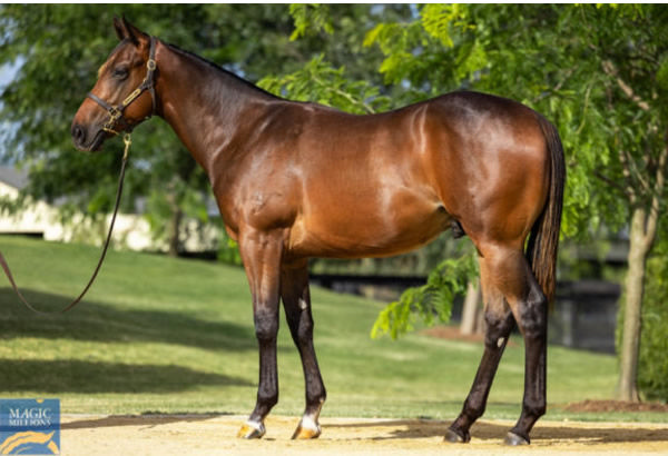 Mayfair was a $625,000 Magic millions purchase.