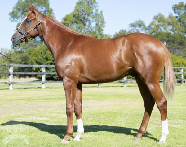McKeever as a yearling.