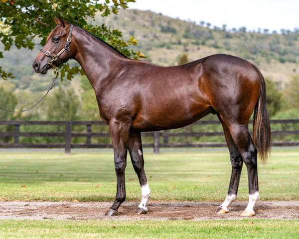 Metallicity as a yearling.