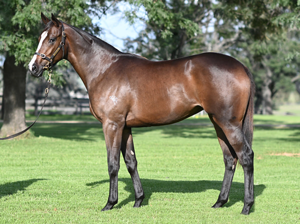 Miss Chenery was a $180,000 Inglis Easter purchase.