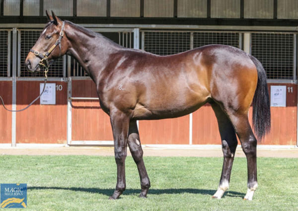 Misty Legend was a $700,000 Magic Millions purchase.