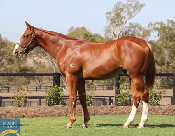 Money From the Sky was a $200,000 MM yearling purchase.