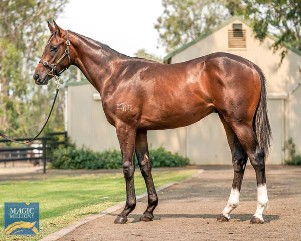 Multinational was a $150,000 Magic Millions purchase.