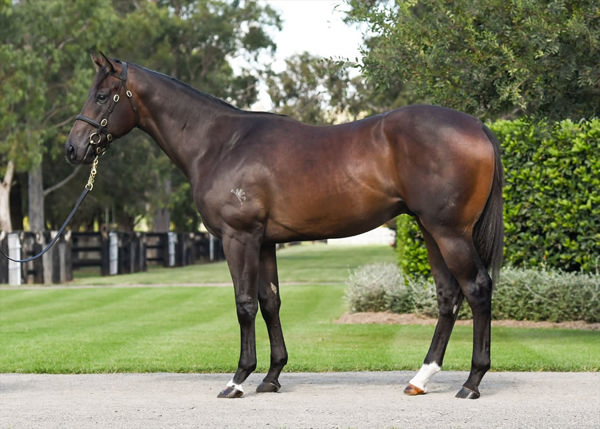 Naval Academy as a yearling