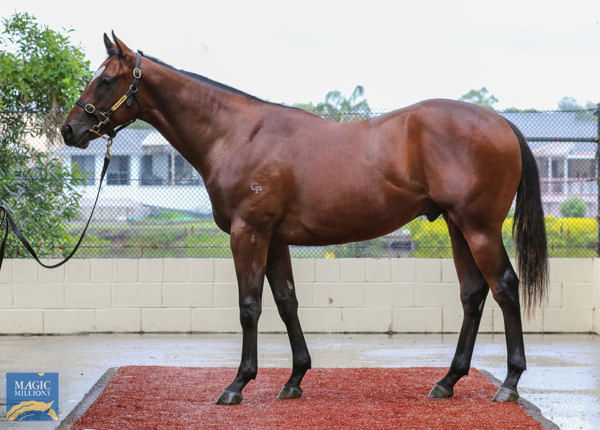 Nitro was a $270,000 Magic Millions purchase.