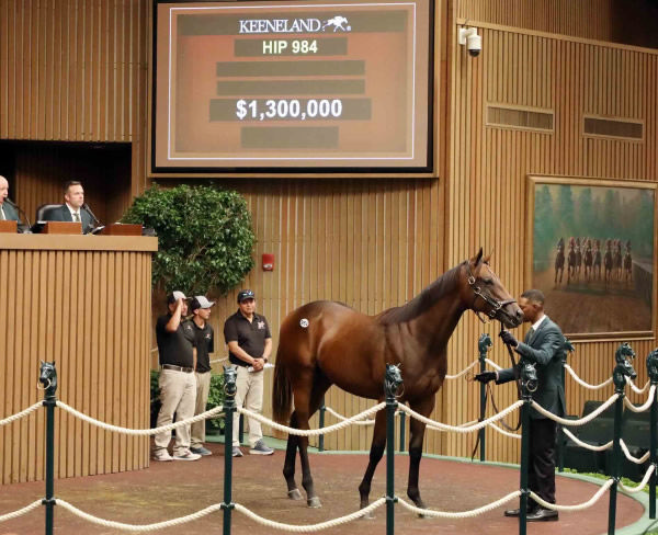 $1.3million Nyquist colt from Spa Treatment