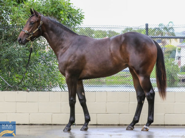 A $325,000 MM purchase from Gilgai Farm.