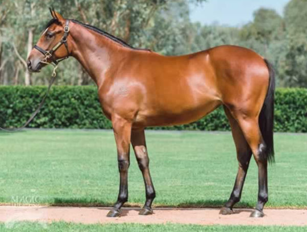 Obiri as a yearling