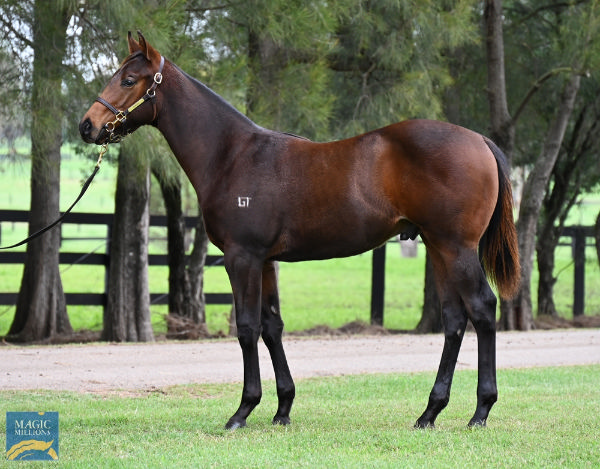 Lot 201, click to see his page.