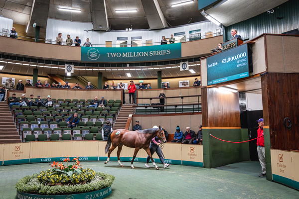 1million Night of Thunder filly from No Speak Alexander - image Goffs