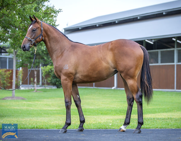 Origin of Love was a $440,000 Magic Millions purchase.
