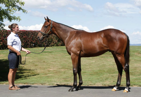Osipenko as a yearling.