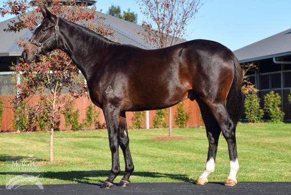 Ouburst failed to make his $20,000 reserve as a yearling