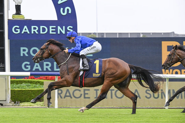 Outspan Becomes the Second 2YO Winner On Saturday For Bivouac - Image Bradley Photos