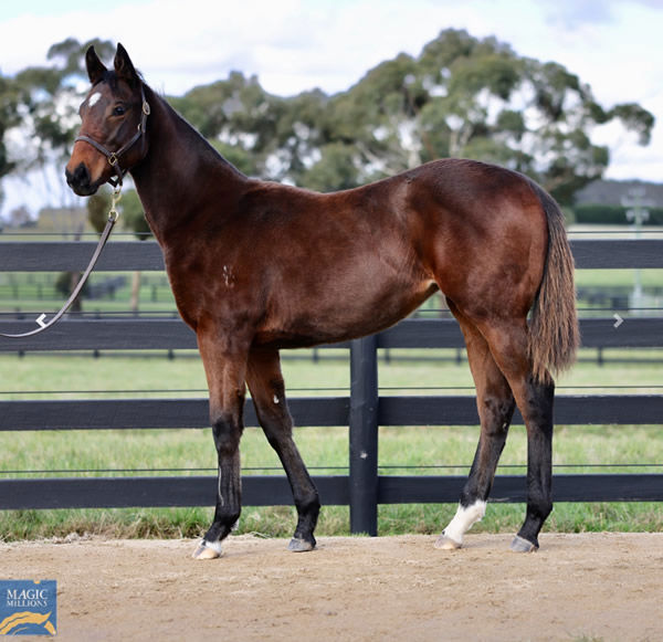 $210,000 Overshare filly from Silent Roar. 