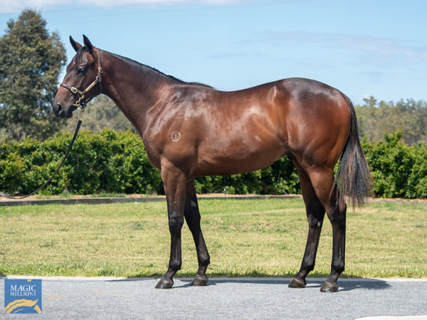 Patonga sold at Magic Millions for $750,000.