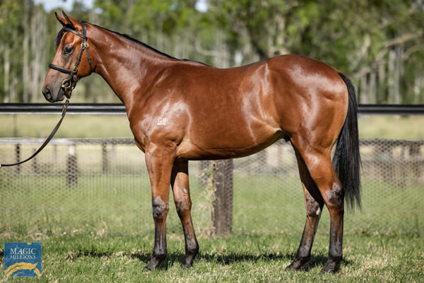 Perfectly Good was a $160,000 Magic Millions purchase.