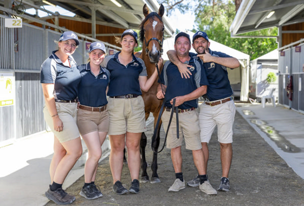 $475,000 Playing God filly from Cosmah Domination - image MM