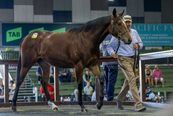 $150,000 Pierata filly from Token of Love.