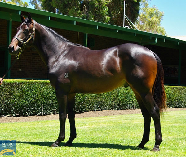 Lot 44 is the only entry in the sale by Pierro. 