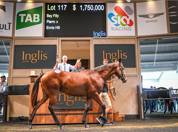 $1.75million Pierro filly from Ennis Hill