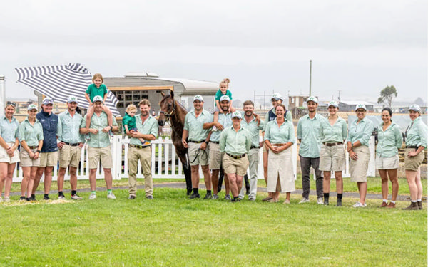 $170,000 sale-topping Pinatubo (IRE) filly from Dream Food - image MM
