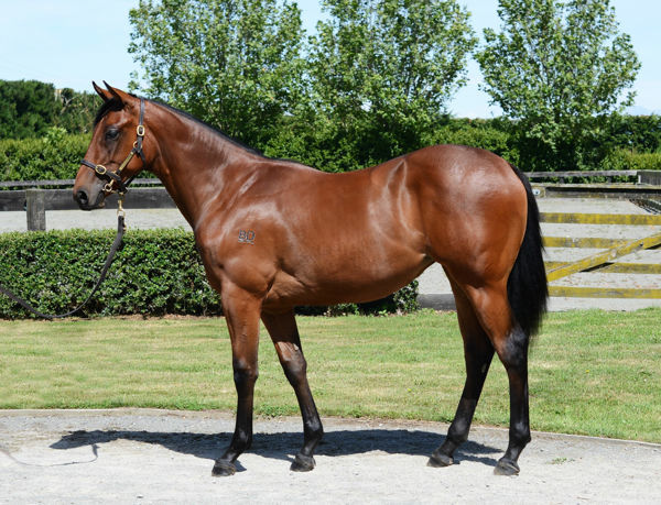 Platinum Diamond was a $90,000 K2 purchase.