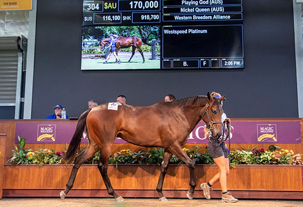 $170,000 Playing God filly from Nickel Queen