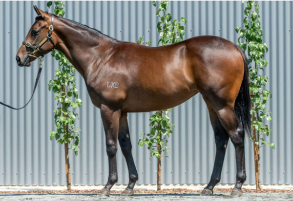 Playlist was a $150,000 Inglis Classic purchase.