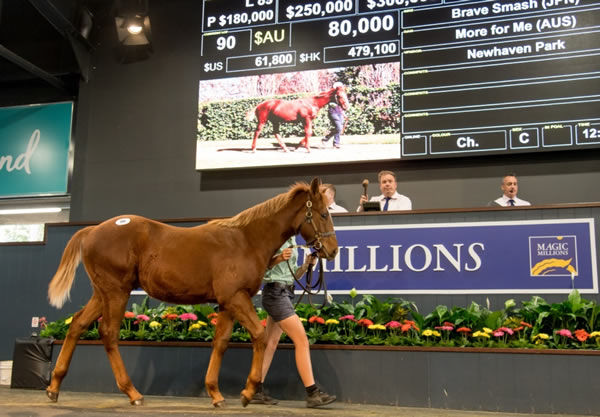 Prime Thoroughbreds purchased Power of the Brave as a weanling.