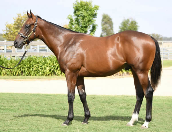 $270,000 Preferment colt from Sea Spray