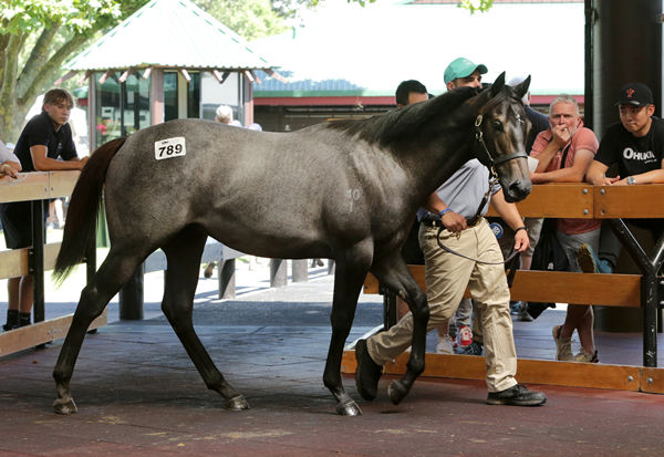 $180,000 Proisir colt from Harriert Wilson