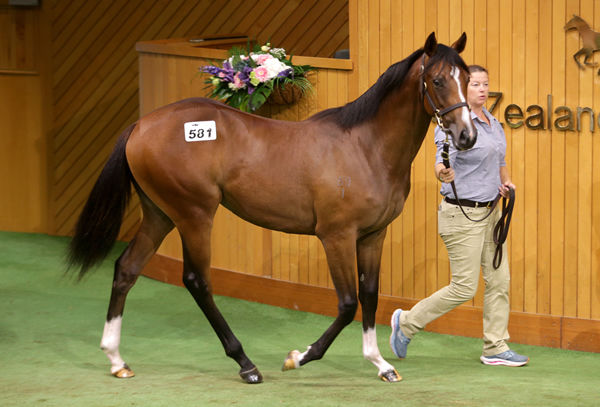 Lot 581, the Proisir filly from Tellmeaboutit, was purchased by Ciaron Maher Racing for $240,000. Photo: Trish Dunell