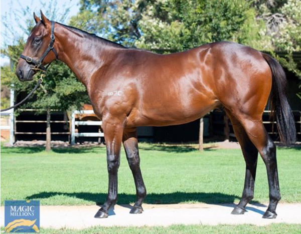 Ranveer was a $200,000 Perth Magic Millions Yearling
