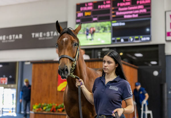 $180,000 Russian Camelot (IRE) filly from Shakespearean Lass.