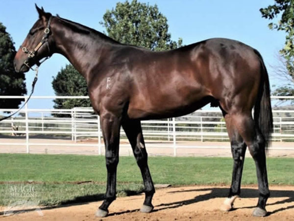 Reinvest as a yearling