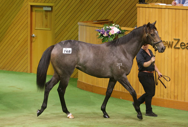 Lot 768, the Reliable Man filly, was purchased out of Westbury Stud’s draft by Pearce Racing for $75,000. Photo: Trish Dunell