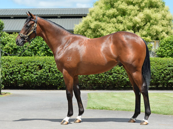 Romanoff was a $75,000 Karka Book 2 purchase.