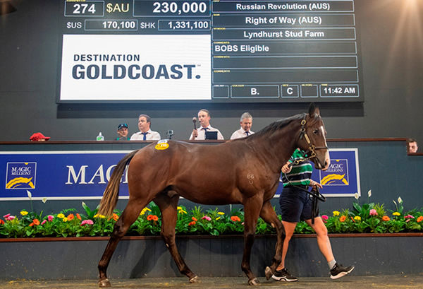Sale-topper at MM Gold Coast March - The Instructor. 