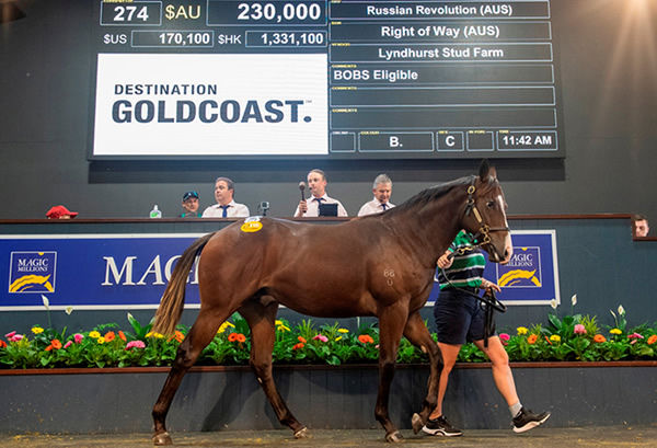 Sale topper! $230,000 Russian Revolution colt to be trained by Gai Waterhouse and Adrian Bott.