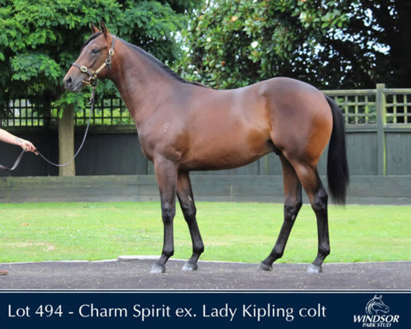 Rudyard was an impressive looking yearling.