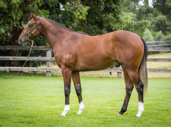 Rupeni was a $160,000 Inglis Easter purchase.