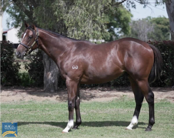 Rush Attack was a $240,000 Magic Millions purchase.