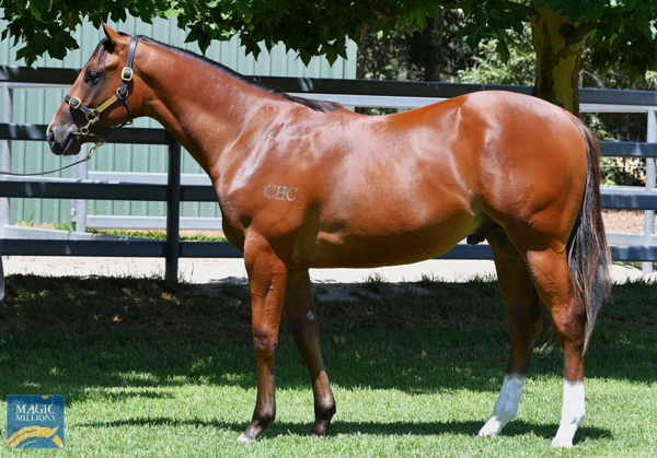 Lot 131 -  Russian Revolution colt from Penang.