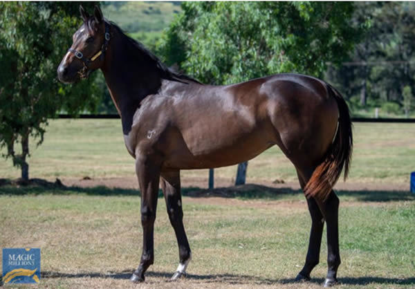 Russian Alliance was a savvy pinhook bought for $10,000 as a weanling on Inglis Digital 